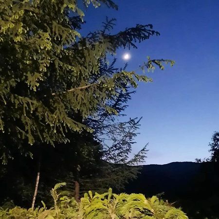 Kalmul Naturii, Iuresul Padurii Firiza-de-Jos 외부 사진