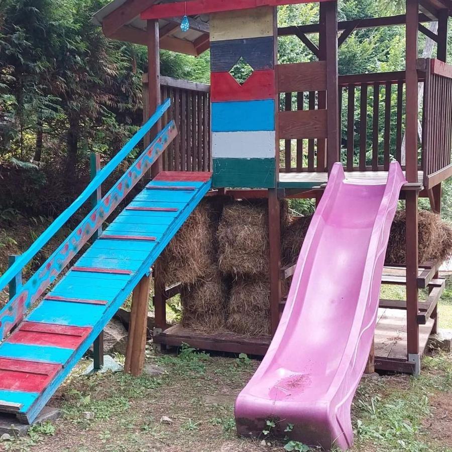 Kalmul Naturii, Iuresul Padurii Firiza-de-Jos 외부 사진